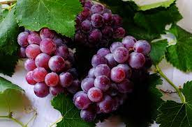 grapes-fruits