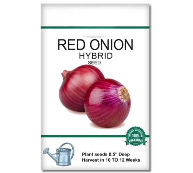 red-onion-seeds