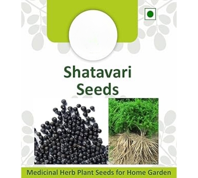 shatavari-seeds