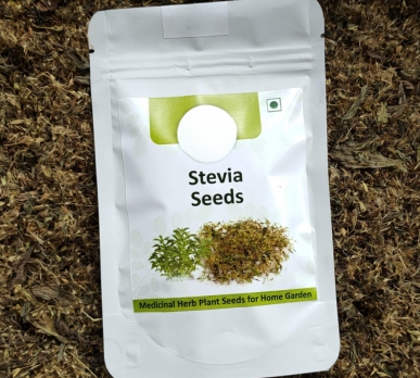 stevia-seeds